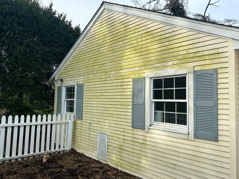 Before House Washing