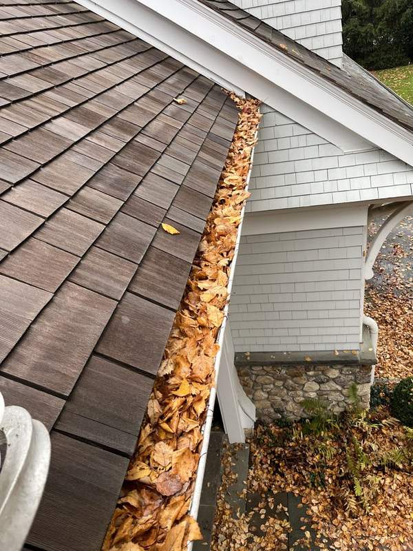 Before Gutter Cleaning