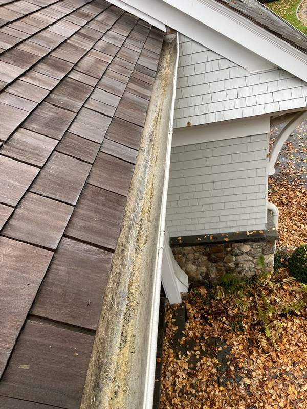 After Gutter Cleaning